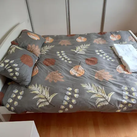 Apartment Asa Sarajevo