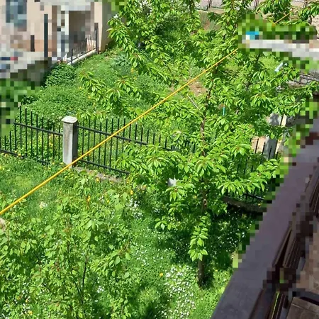 Asa * سراييفو