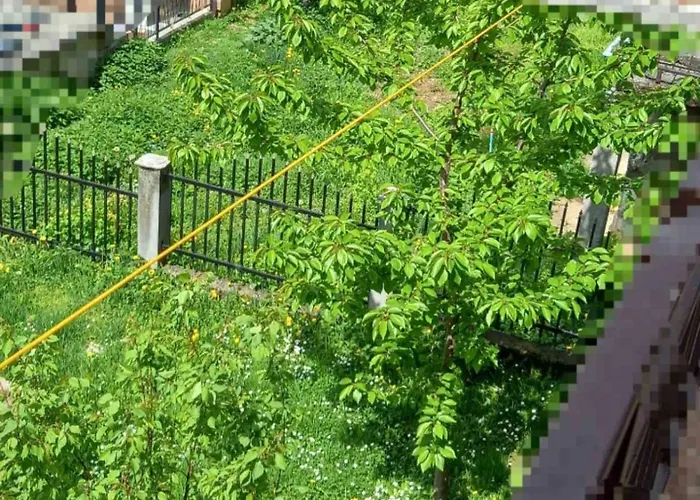 Asa * سراييفو